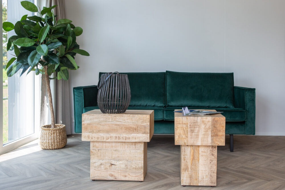 Casa mobile Biesbosch 1250-2 – Chalet prefabbricato con terreno incluso, una soluzione completa